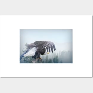 Bald Eagle Taking Off Posters and Art